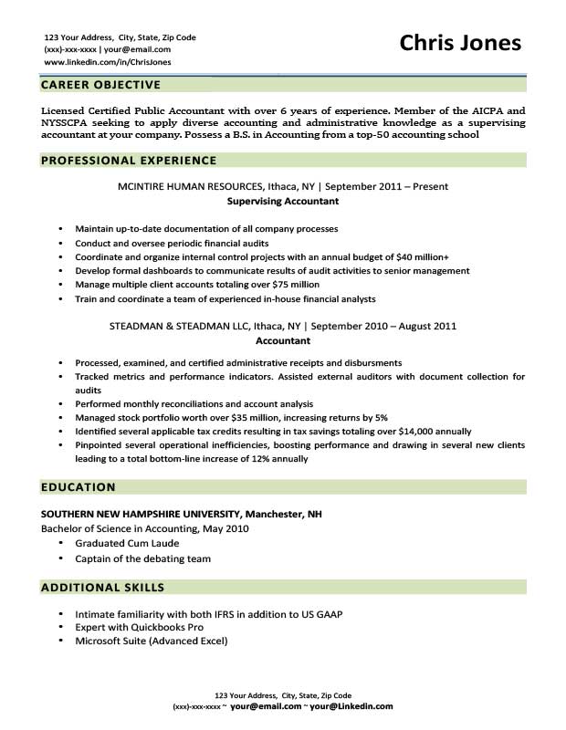 Free Basic Chameleon Resume Templates in Microsoft Word Format