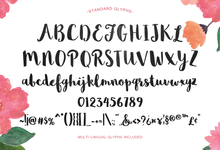 Load image into Gallery viewer, Sophia – Free Handlettered Brush Script Font